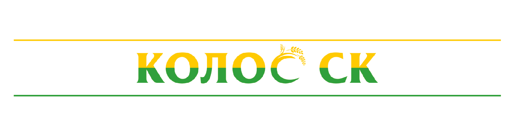 Партнёр 1